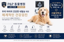 P&P동물병원