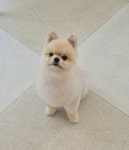 멍돌이와 멍순이