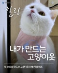하이펫스쿨