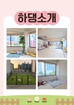 하이댕댕 애견호텔 애견유치원