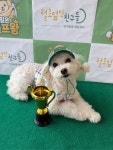 털로덮인친구들 커먼그라운드점