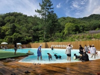 견로당