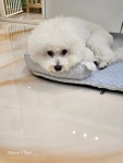 멍마실