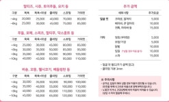 순지 애견미용샵