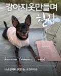 하이펫스쿨