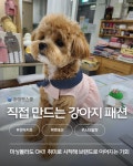 하이펫스쿨
