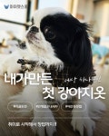 하이펫스쿨