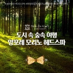아름헤어앤앙포레모리노헤드스파 | 아름헤어&앙포레모리노헤드스파