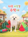 사계절예쁘개