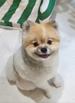 멜팅그루밍