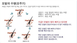 아름헤어앤앙포레모리노헤드스파 | 아름헤어&앙포레모리노헤드스파