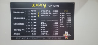 오리사냥