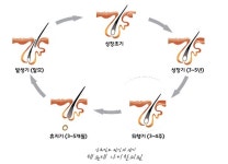 아름헤어앤앙포레모리노헤드스파 | 아름헤어&앙포레모리노헤드스파
