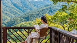 옐로우스톤 애견동반펜션