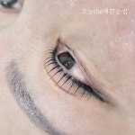 오늘the예쁜눈썹