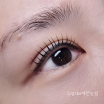오늘the예쁜눈썹