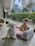 별그룸