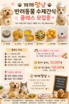 까까멍냥