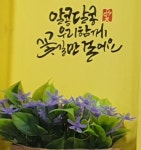 워시프렌즈셀프빨래방 논산연무점