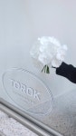 스튜디오 토록