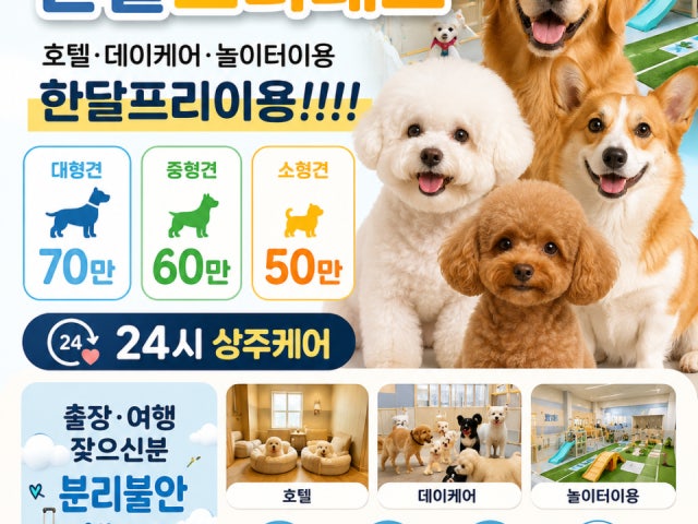 댕댕뿌치