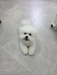 별그룸