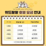 위드왈왈 동래캠퍼스 애견유치원 호텔