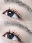 오늘the예쁜눈썹