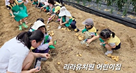 리라유치원