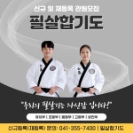 필살합기도