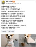 꼬무별