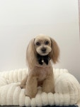 헬로우버디 광교점