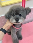 헬로우버디 광교점