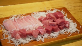 청정해참치