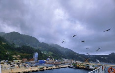 오네노네펜션