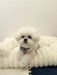 헬로우버디 광교점