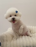 헬로우버디 광교점