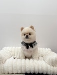 헬로우버디 광교점