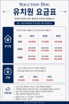 솔루션독