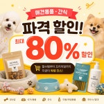 펫이발소