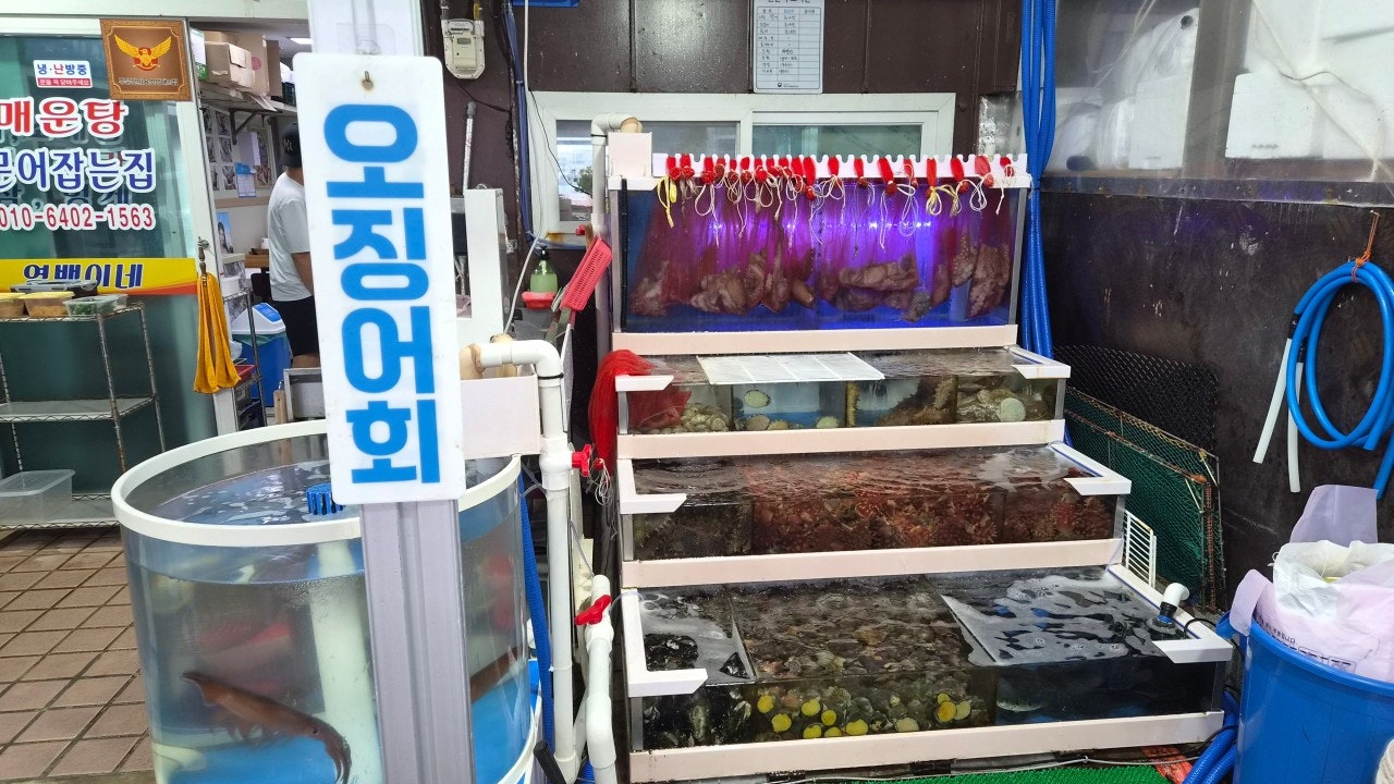 영백이네
