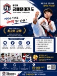용인대금메달태권도