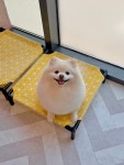 엘리펫살롱