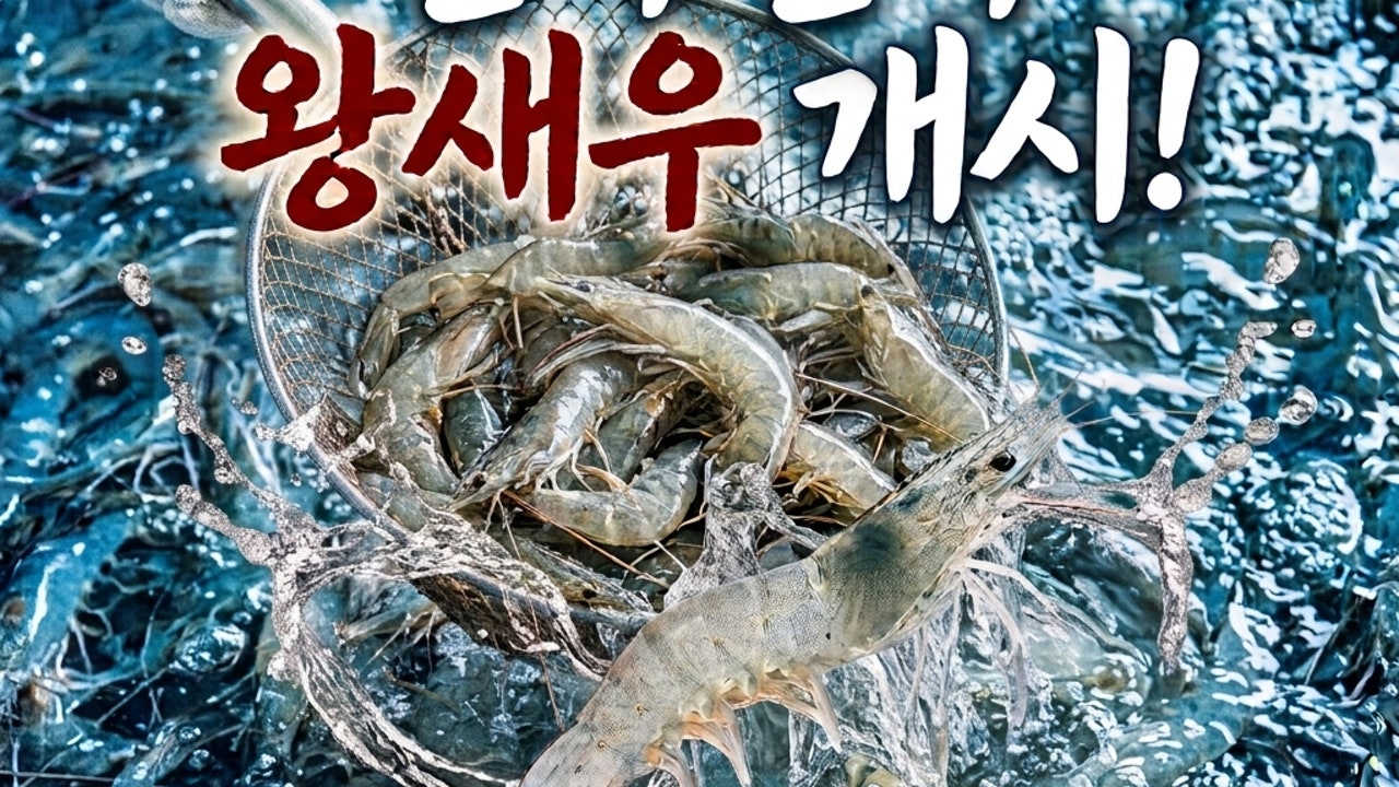 철없는새우