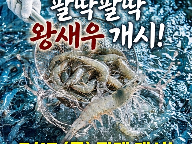 철없는새우