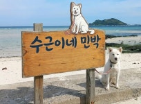 수근이네민박