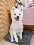 오늘도, 그루밍