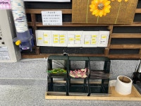 갬블당구장
