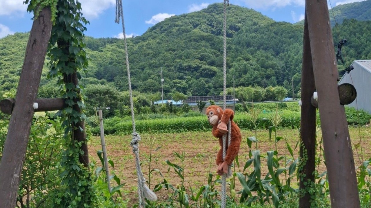 부기로와