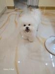 멍마실